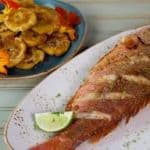 Grilled Tilapia (Red)